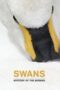 Nonton film Streaming Swans: Mystery of the Missing (2019) subtitle Bahasa Indonesia Nonton film Streaming Swans: Mystery of the Missing (2019) subtitle Bahasa Indonesia