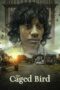 Nonton film Streaming The Caged Bird () subtitle Bahasa Indonesia Nonton film Streaming The Caged Bird () subtitle Bahasa Indonesia