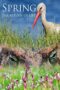 Nonton film Streaming Spring: The Return of Life (2014) subtitle Bahasa Indonesia Nonton film Streaming Spring: The Return of Life (2014) subtitle Bahasa Indonesia