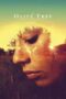 Nonton film Streaming The Olive Tree (2016) subtitle Bahasa Indonesia Nonton film Streaming The Olive Tree (2016) subtitle Bahasa Indonesia